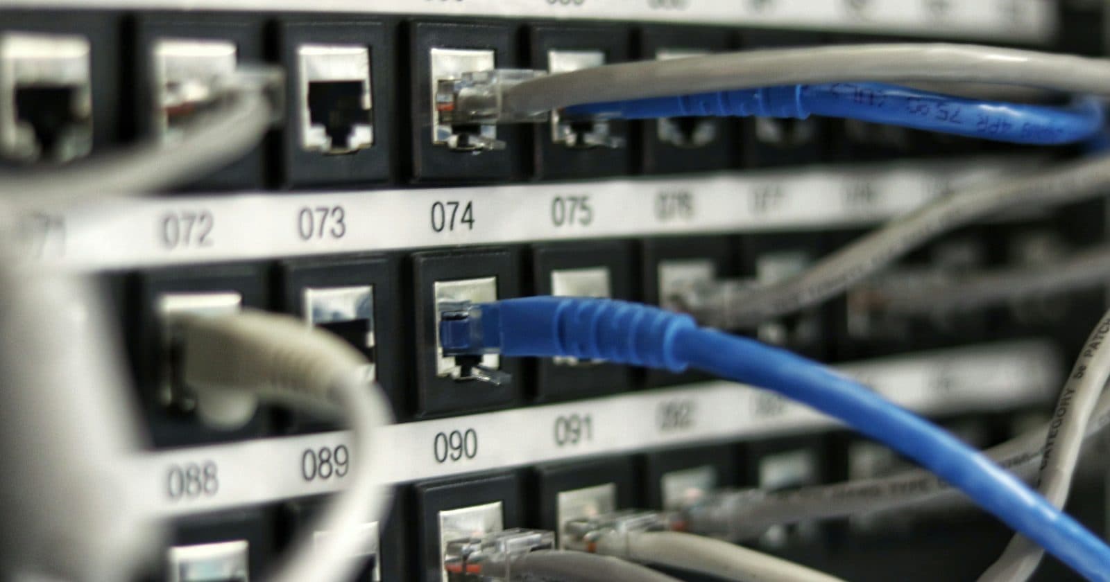 Blue and grey network patch cables plugged into a numbered patch panel